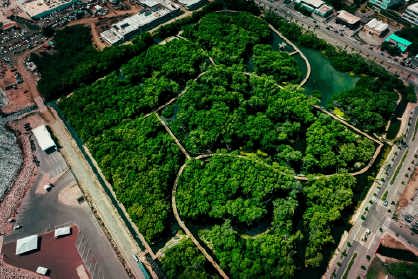 /rif-Mangrove-park-3.jpg